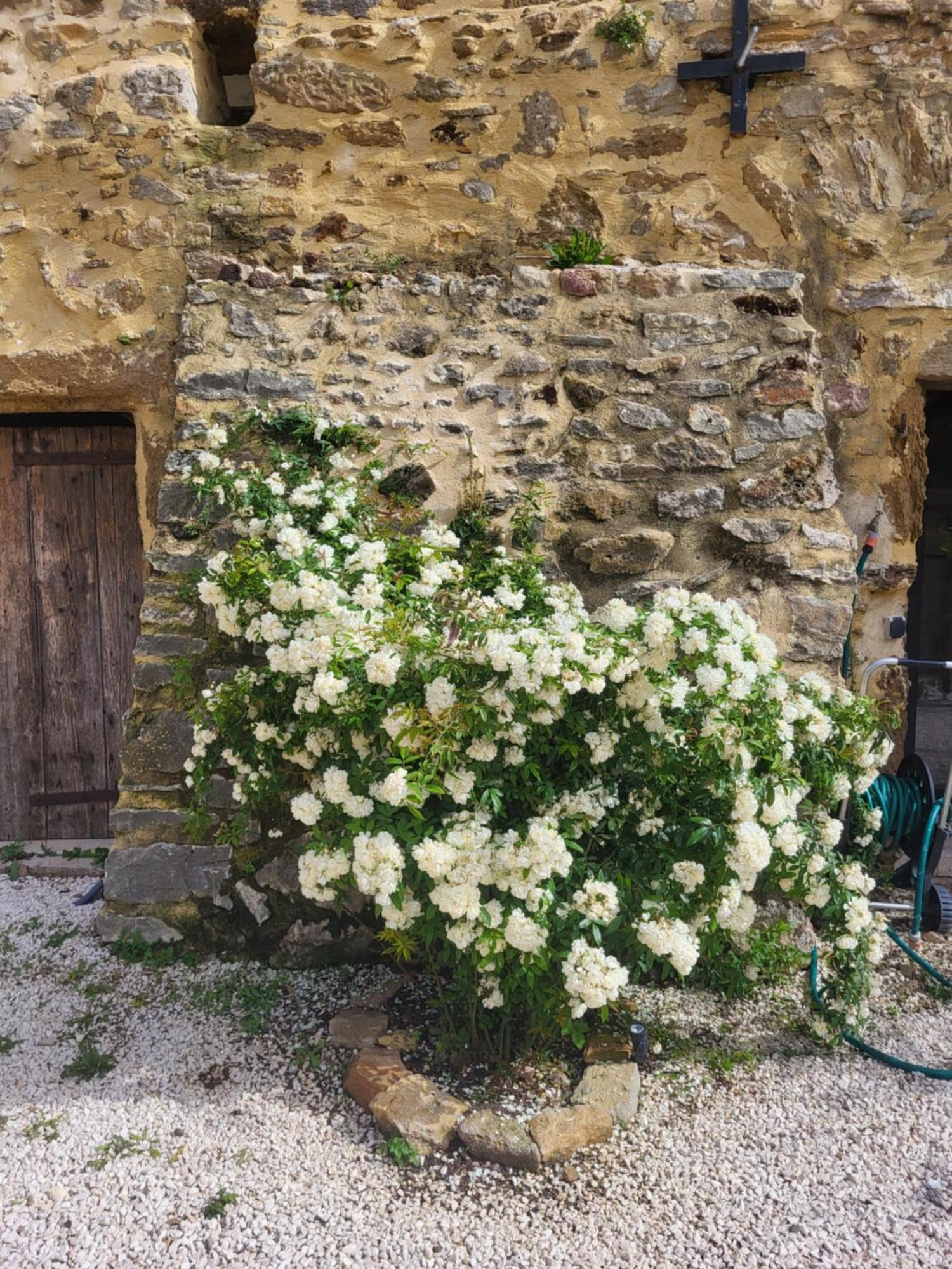 Bastide De La Madeleine Bed & Breakfast Pougnadoresse Exterior foto